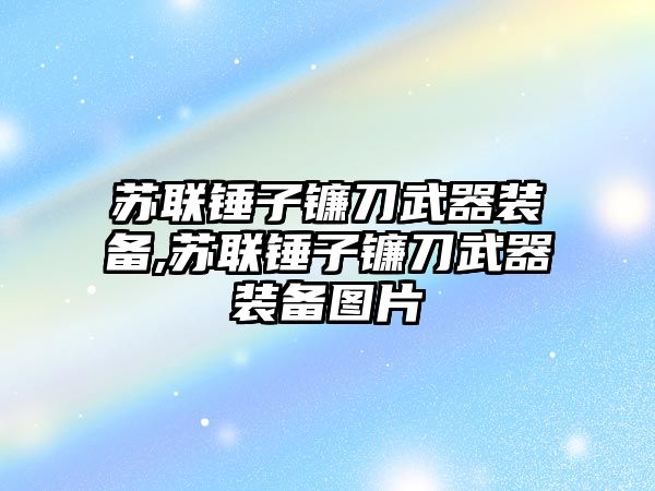 蘇聯錘子鐮刀武器裝備,蘇聯錘子鐮刀武器裝備圖片