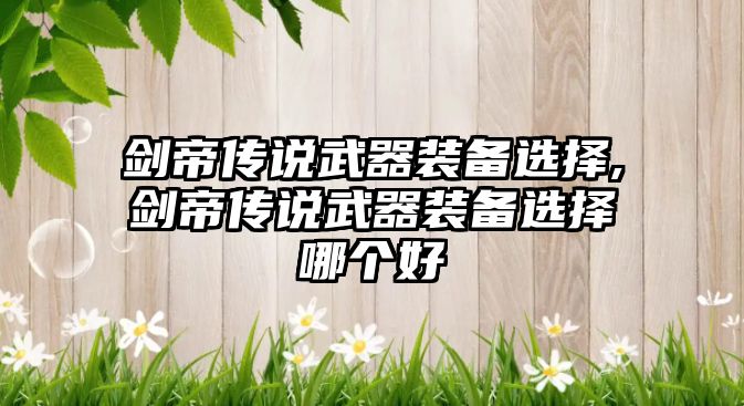 劍帝傳說武器裝備選擇,劍帝傳說武器裝備選擇哪個好