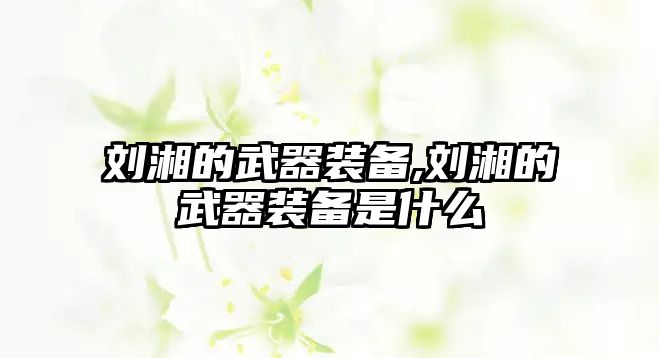 劉湘的武器裝備,劉湘的武器裝備是什么