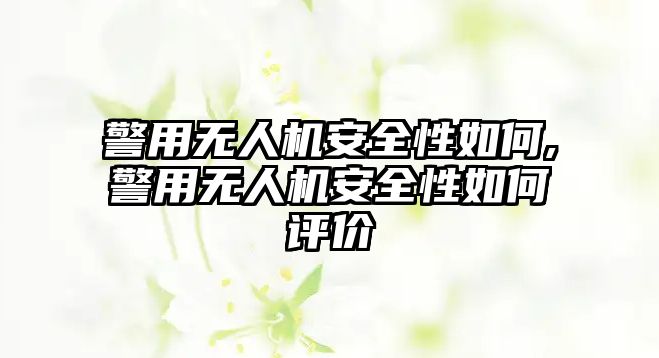 警用無人機安全性如何,警用無人機安全性如何評價