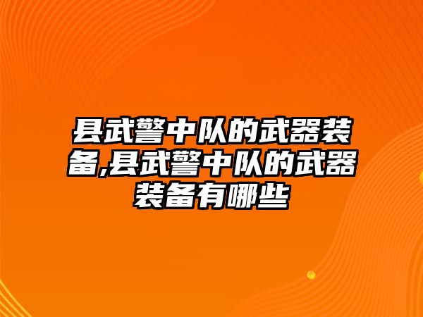 縣武警中隊(duì)的武器裝備,縣武警中隊(duì)的武器裝備有哪些