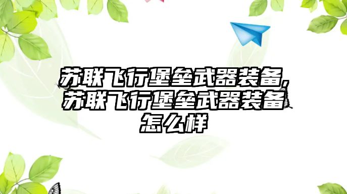 蘇聯飛行堡壘武器裝備,蘇聯飛行堡壘武器裝備怎么樣