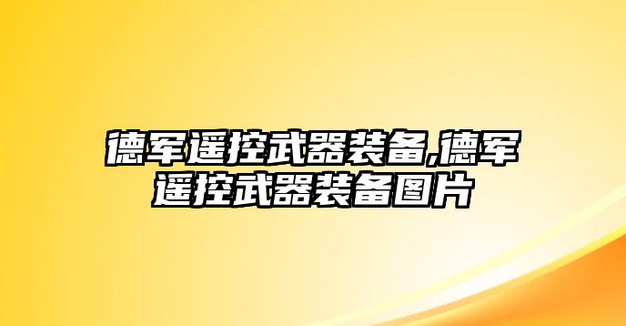 德軍遙控武器裝備,德軍遙控武器裝備圖片