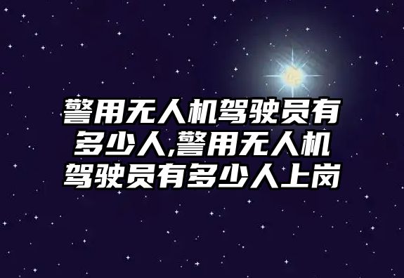 警用無人機駕駛員有多少人,警用無人機駕駛員有多少人上崗