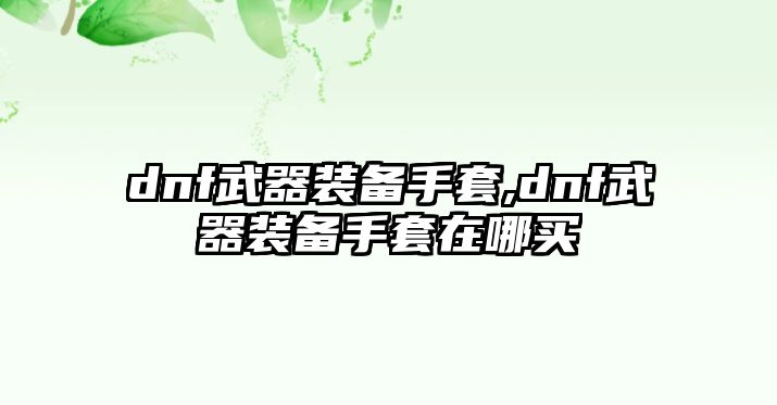 dnf武器裝備手套,dnf武器裝備手套在哪買