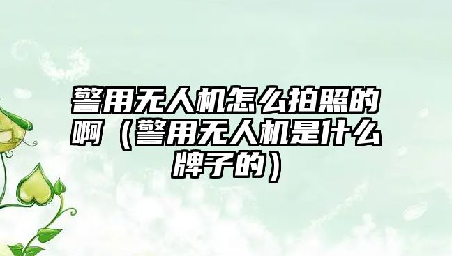 警用無(wú)人機(jī)怎么拍照的啊（警用無(wú)人機(jī)是什么牌子的）