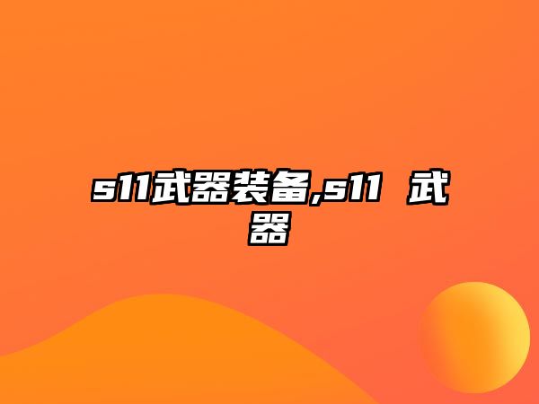 s11武器裝備,s11 武器