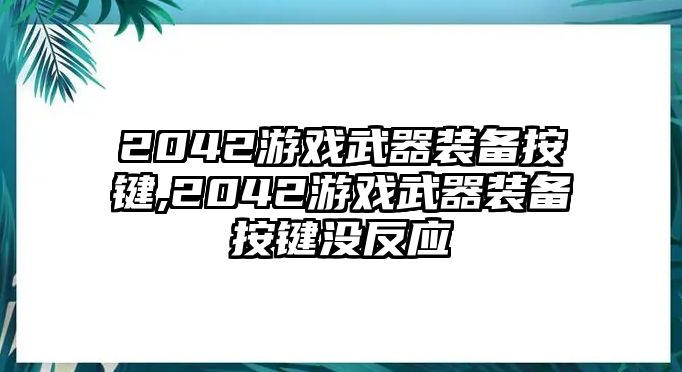 2042游戲武器裝備按鍵,2042游戲武器裝備按鍵沒反應