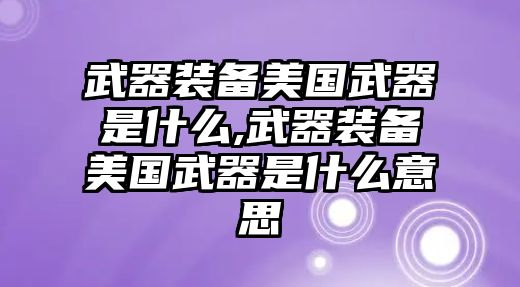 武器裝備美國武器是什么,武器裝備美國武器是什么意思