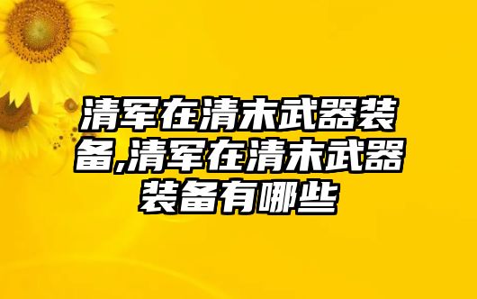 清軍在清末武器裝備,清軍在清末武器裝備有哪些