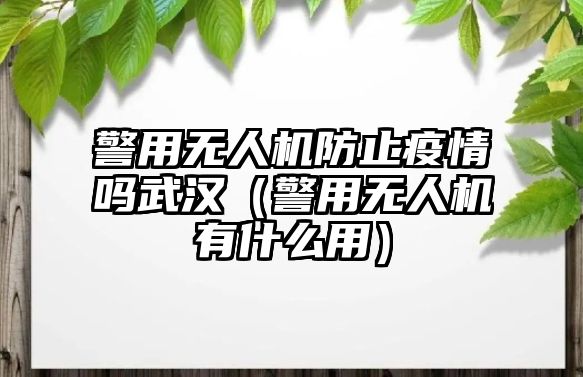 警用無人機防止疫情嗎武漢（警用無人機有什么用）