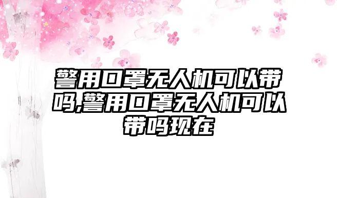 警用口罩無人機可以帶嗎,警用口罩無人機可以帶嗎現在