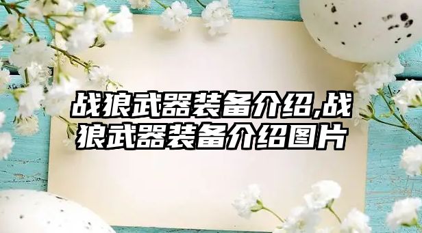 戰狼武器裝備介紹,戰狼武器裝備介紹圖片