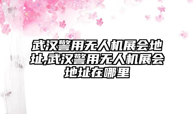 武漢警用無人機展會地址,武漢警用無人機展會地址在哪里