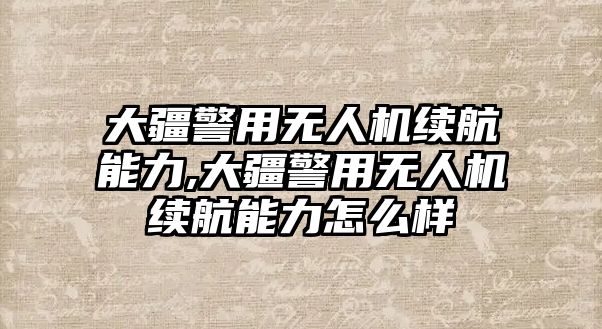 大疆警用無人機續航能力,大疆警用無人機續航能力怎么樣