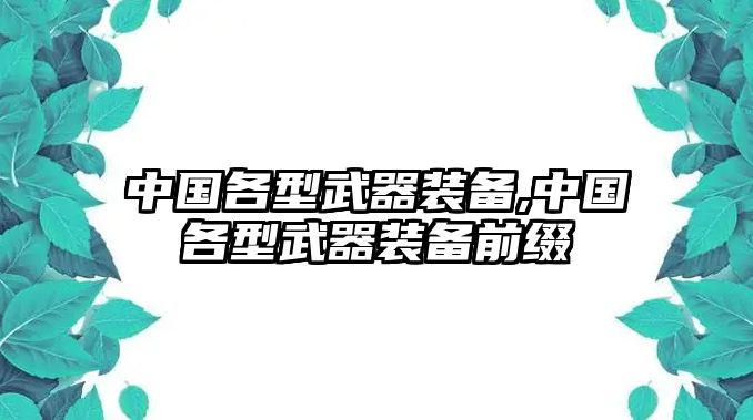 中國(guó)各型武器裝備,中國(guó)各型武器裝備前綴