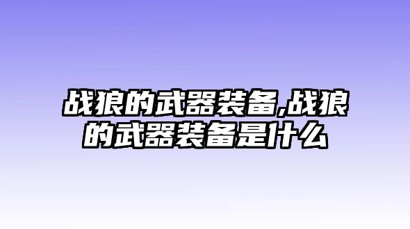 戰狼的武器裝備,戰狼的武器裝備是什么