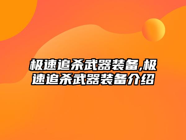 極速追殺武器裝備,極速追殺武器裝備介紹