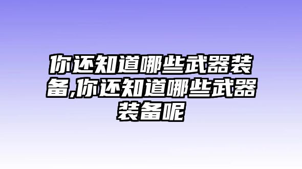 你還知道哪些武器裝備,你還知道哪些武器裝備呢