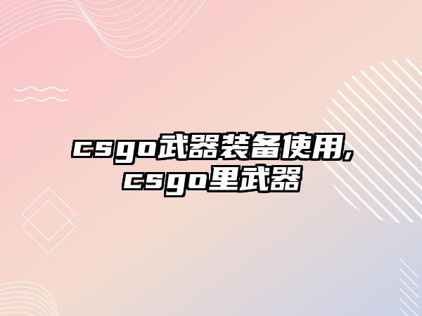 csgo武器裝備使用,csgo里武器