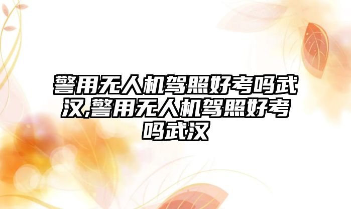 警用無人機駕照好考嗎武漢,警用無人機駕照好考嗎武漢