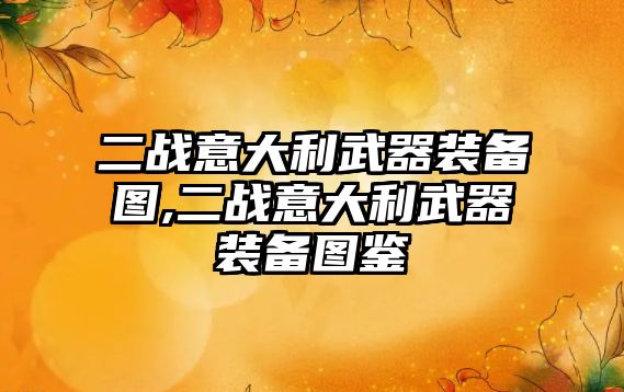 二戰意大利武器裝備圖,二戰意大利武器裝備圖鑒