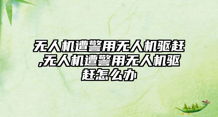 無人機遭警用無人機驅趕,無人機遭警用無人機驅趕怎么辦