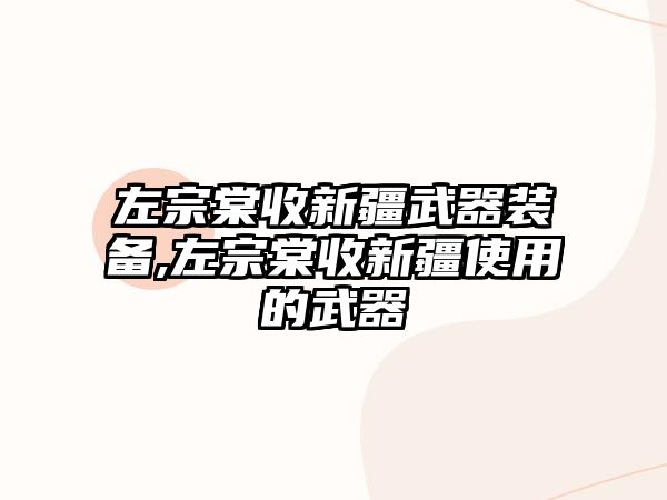 左宗棠收新疆武器裝備,左宗棠收新疆使用的武器