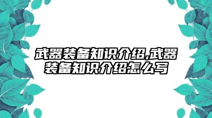 武器裝備知識介紹,武器裝備知識介紹怎么寫