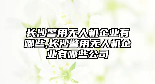 長沙警用無人機企業有哪些,長沙警用無人機企業有哪些公司