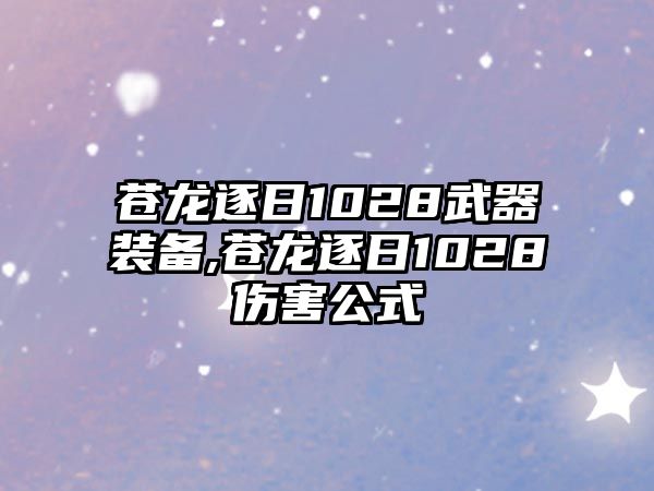 蒼龍逐日1028武器裝備,蒼龍逐日1028傷害公式