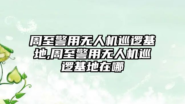 周至警用無人機巡邏基地,周至警用無人機巡邏基地在哪