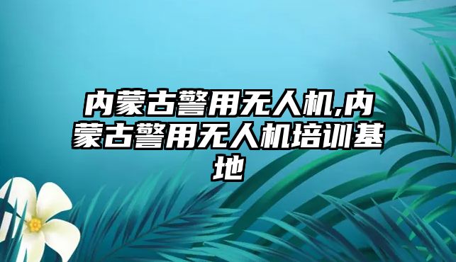 內蒙古警用無人機,內蒙古警用無人機培訓基地