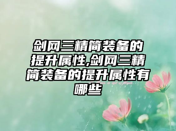 劍網(wǎng)三精簡裝備的提升屬性,劍網(wǎng)三精簡裝備的提升屬性有哪些