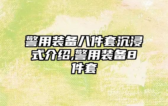 警用裝備八件套沉浸式介紹,警用裝備8件套