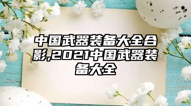 中國武器裝備大全合影,2021中國武器裝備大全