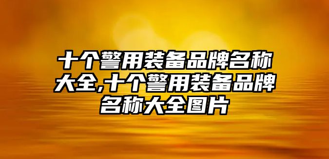 十個警用裝備品牌名稱大全,十個警用裝備品牌名稱大全圖片