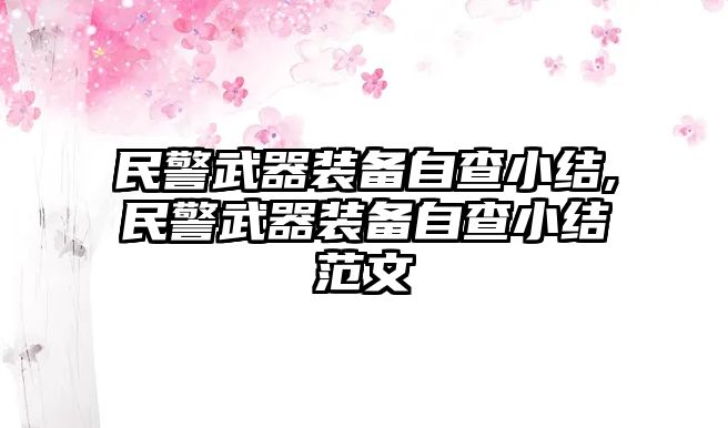 民警武器裝備自查小結(jié),民警武器裝備自查小結(jié)范文