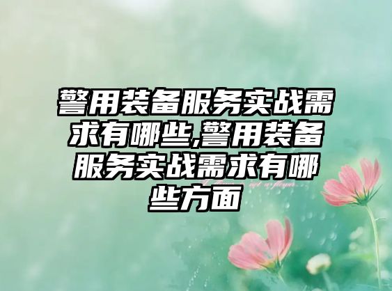 警用裝備服務(wù)實(shí)戰(zhàn)需求有哪些,警用裝備服務(wù)實(shí)戰(zhàn)需求有哪些方面