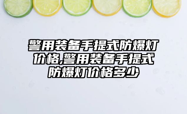 警用裝備手提式防爆燈價格,警用裝備手提式防爆燈價格多少