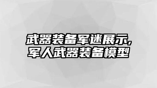 武器裝備軍迷展示,軍人武器裝備模型