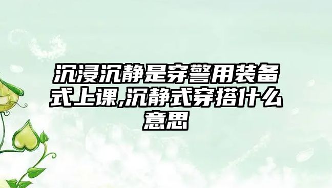 沉浸沉靜是穿警用裝備式上課,沉靜式穿搭什么意思