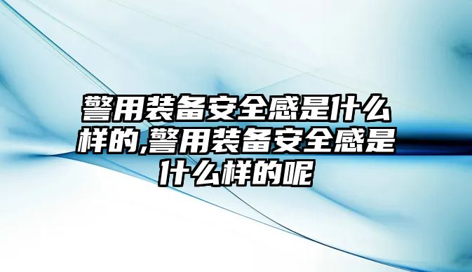 警用裝備安全感是什么樣的,警用裝備安全感是什么樣的呢