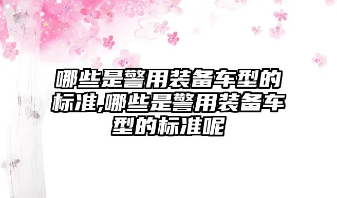 哪些是警用裝備車型的標準,哪些是警用裝備車型的標準呢