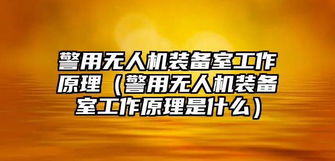 警用無人機裝備室工作原理（警用無人機裝備室工作原理是什么）