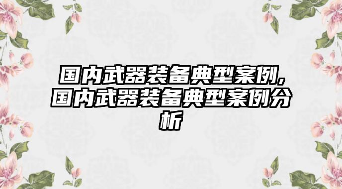 國內武器裝備典型案例,國內武器裝備典型案例分析