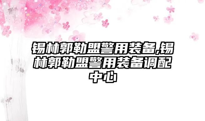 錫林郭勒盟警用裝備,錫林郭勒盟警用裝備調配中心