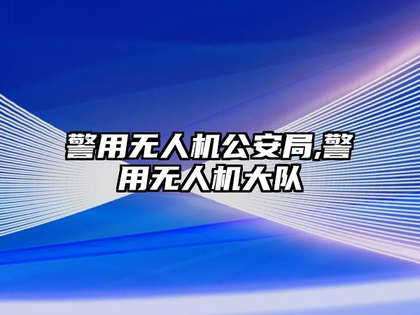 警用無人機公安局,警用無人機大隊