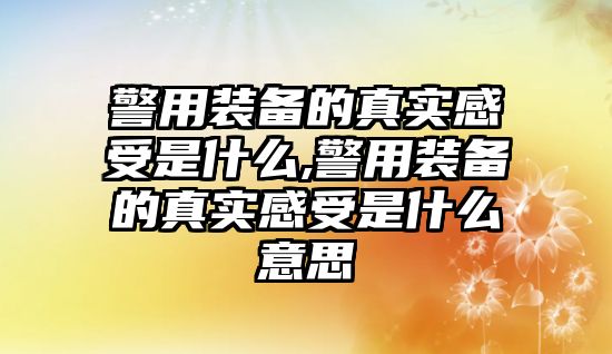 警用裝備的真實感受是什么,警用裝備的真實感受是什么意思