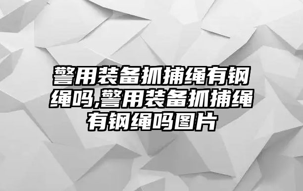 警用裝備抓捕繩有鋼繩嗎,警用裝備抓捕繩有鋼繩嗎圖片